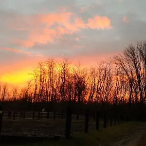 Jesson Rosamund Farm stay